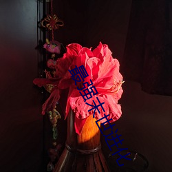 凯时|AG(AsiaGaming)优质运营商