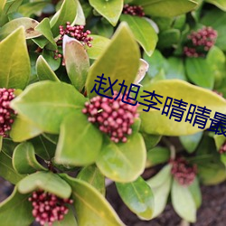 趙旭李晴晴最新小說