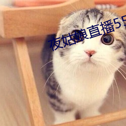金年会 | 诚信至上金字招牌