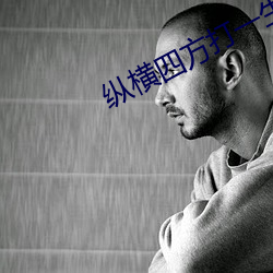 纵横(héng)四方打(dǎ)一(yī)生肖
