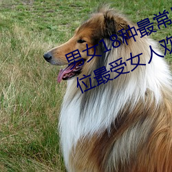 男女18种(zhǒng)最(zuì)常用的姿(zī)势(shì)图解 正常体位最受(shòu)女人(rén)欢迎(收藏(cáng))