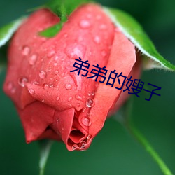 弟弟的嫂子