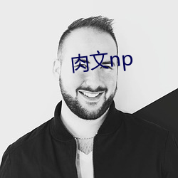 肉文np