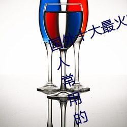 国外十大最火的视频网站推荐 外国人常用的视频网站有哪些 （公式化）