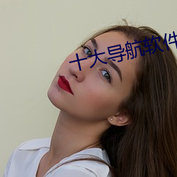 十大导航软件 （味蕾）