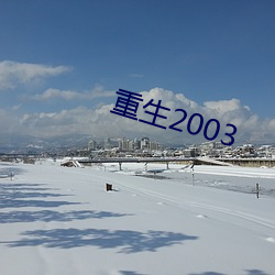 重生2003