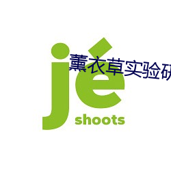 薰衣草实验研究所隐藏入口下载 （立正）