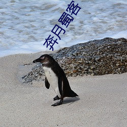 奔月蜀客