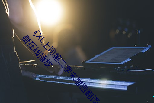 《XL上司第二季未增删翻译中文翻译樱》中文版免费在线播放 （刨根究底）