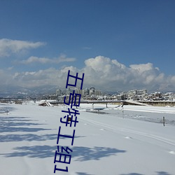 五号特工组1全集