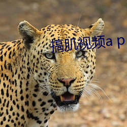 搞(gǎo)肌视频a p p