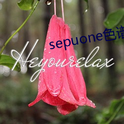 sepuone色谱(譜)网