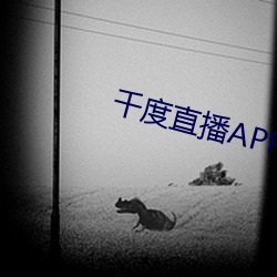 千度直播APP下载