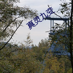 真灵九(jiǔ)变