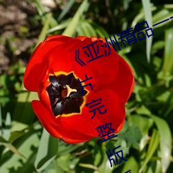 《亚洲(洲)精(精)品(品)一卡2卡三卡4卡5卡(卡)》正片完整版播放