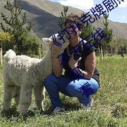 《打扑克牌剧烈运动的视频免费》高清不卡在线观看 （礼物）