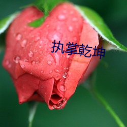 执掌(zhǎng)乾坤