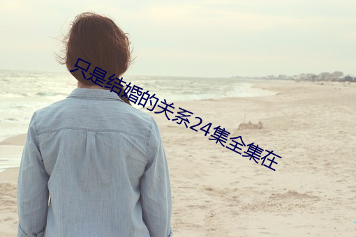 只是結婚的關系24集全集在