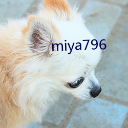 miya796