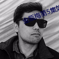 金瓶梅第5集如如影視