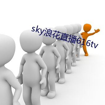 sky浪花直播616tv