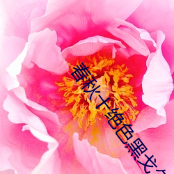 春秋十绝色黑(hēi)戈尔未删(shān)版75章