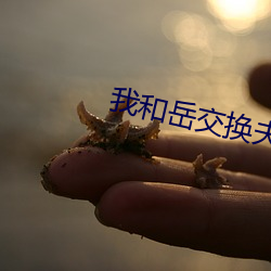 我和嶽交換夫婦中文字幕在