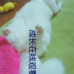 成长在线观看免费电视剧