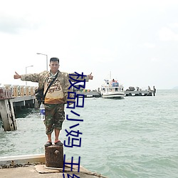 极品小妈 王维