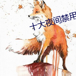 十大夜間禁用app軟件免費