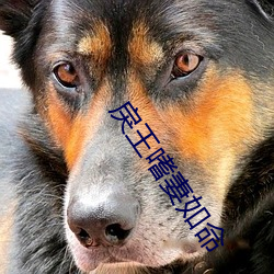 戾王嗜妻如命