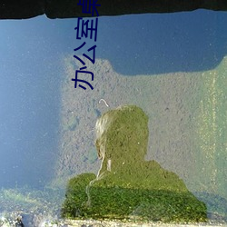 辦公室桌震嬌喘視頻大全在