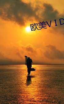 欧美V I D E O S 18