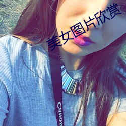 美女图(圖)片欣赏(賞)