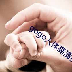 gogo人(rén)体高(gāo)清摄影图