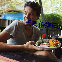 天美传媒网址 （游历）