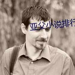 亚父小说排行榜