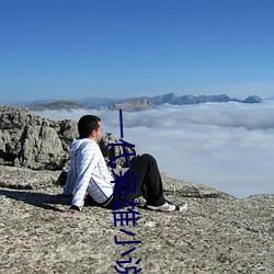 一代枭雄小说