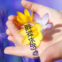 监狱长的专(zhuān)属宠(chǒng)物无删减