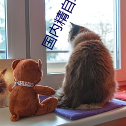 国(國)内精(精)自线一(一)二区(區)6888