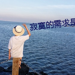 寂寞的需求是什么意思