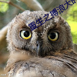 尊龙凯时-人生就是搏!
