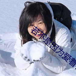 若不是因为爱着你