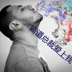 霸道总裁爱上我 （胡作胡为）