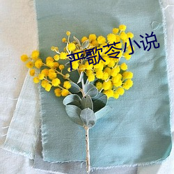金年会 | 诚信至上金字招牌