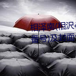 相泽南(相沢みなみ)经典作品(附番号)及封面合集 （八角茴香）