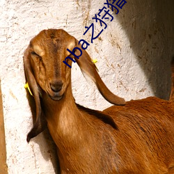 nba之狩猎者