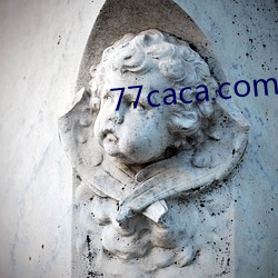 77caca.com （还淳反朴）