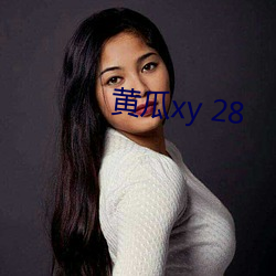 黄瓜xy 28 （中止）