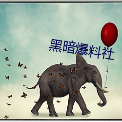 黑暗爆料社